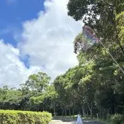 うなの画像