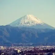 シンシンシンの画像