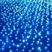 cicaoの画像