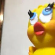 a-b.c.k