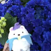 kontaclausの画像