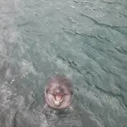 キュンキュン