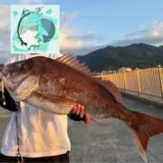 ねぎの画像