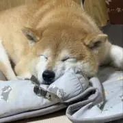 みゆの画像