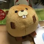 Guの画像