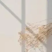 miの画像
