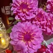 ★史★の画像