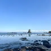 ○○の画像