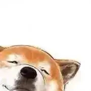 柴丸の画像