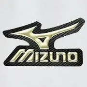 STAEDTLER 925 35 オエステ会10周年記念 アンティークゴールド