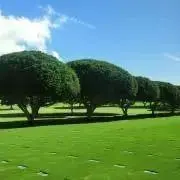 s.mama／タイムセール中の画像