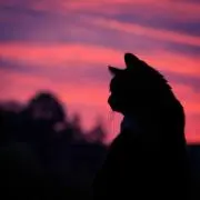 you