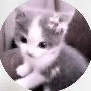 ぽたの画像