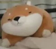 ⛰るるん⛰プロフ必読の画像