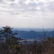 はめりの画像