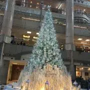 KMの画像