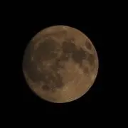 まつの画像