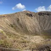 ぽんの画像