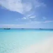 ぼちぼち。の画像
