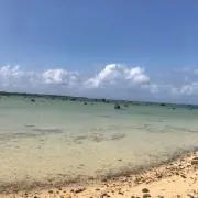 ♡の画像