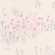 momomiの画像
