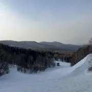 盆暮れの画像