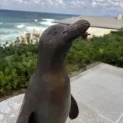 いっこの画像