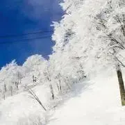 snow  プロフィール確認お願いしますの画像