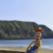 ふーの画像