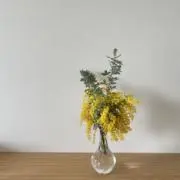 ALLHEREの画像