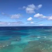 ichikura:プロフ必読の画像