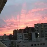 megの画像