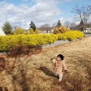 Mimimiの画像
