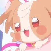 こむぎ
