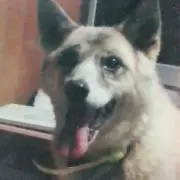 りりーの画像