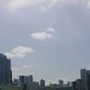 こーちゃんの画像