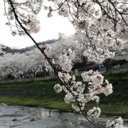 ぐう