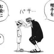 ぽこの画像