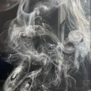 にぬ【プロフ有】の画像