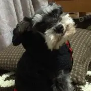 リン
