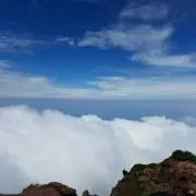 ジビエの画像