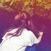 きのこの画像