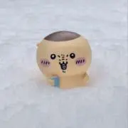 kuriの画像