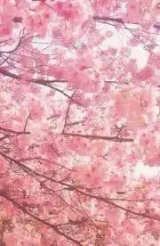 M.Kの画像