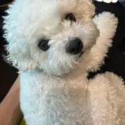 ham☆の画像