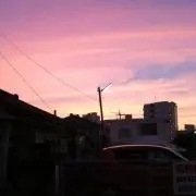 あり