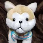 ピース☆ワンの画像