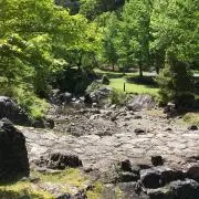 未来の画像