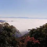 cielの画像