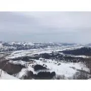 にっくの画像